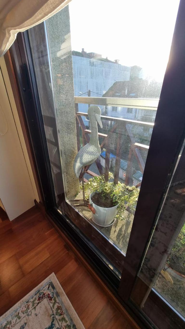 Apartamento 1 Dormitorio 4 Personas En El Grove O Grove Exteriör bild